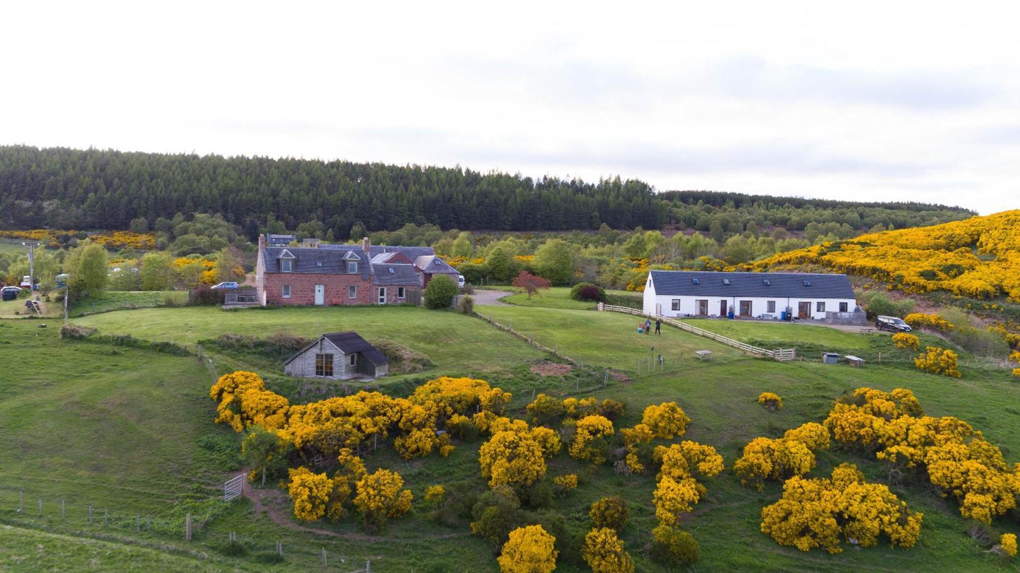 Dolphin View Hillockhead Apartman Rosemarkie Kültér fotó